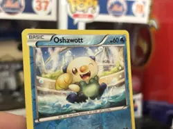 Pokemon TCG XY Steam Siege - Oshawott 30/114 Common - Reverse Holo Card - Image 2