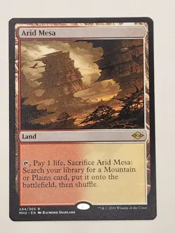 Arid Mesa Modern Horizons 2 Regular - Image 1