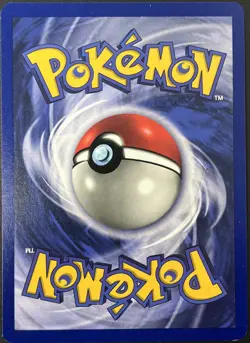 Pikachu 1/53 Black Star Rare Promo WOTC Pokemon Card NM - Image 2