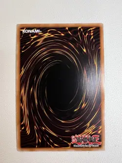 Yu-Gi-Oh! Blue-Eyes White Dragon SDWD-EN002 1st Edition Common Lightly Played LP - Image 2