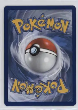 _____'s Pikachu (Wizards Black Star Promo) Pokemon Celebrations #24 - Image 2