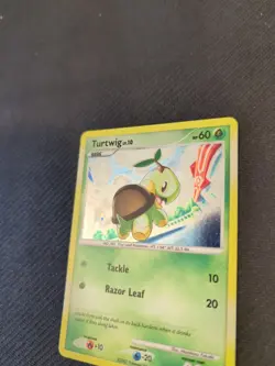 Turtwig 17/17 Pop Series 6 Holo Pokemon NM - Image 3