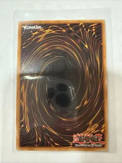 Red Rose Dragon - MP25-EN037 - NM - Starlight Rare - 1st ed - Yugioh - Image 2