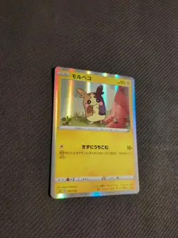 Morpeko 009/024 SA Starter Set Japanese Pokemon Holo NM - Image 2