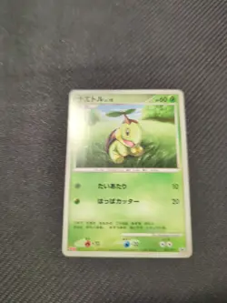 Turtwig 005/DP-P Meiji Promo Japanese Pokemon HP - Image 1