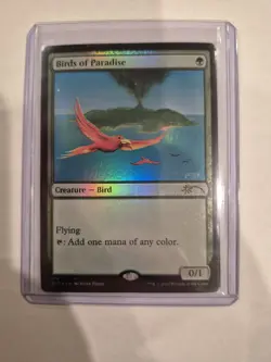 Magic the Gathering Birds of Paradise Secret Lair Super Rare Foil NM - Image 1