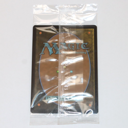 Spectacular Spider-Man - Foil Borderless Prerelease - MTG Marvel - NM Sealed - Image 3