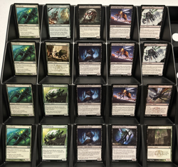 MTG 40-Card Deck Pack – Golgari Insects +1/+1 Counters Deck | Just Add Lands - Image 1