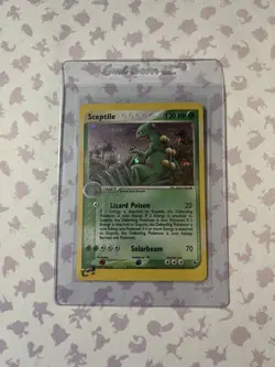 Sceptile Pokemon EX Ruby Sapphire 11/109 Vintage Holo Rare NM-/LP+ - Image 3
