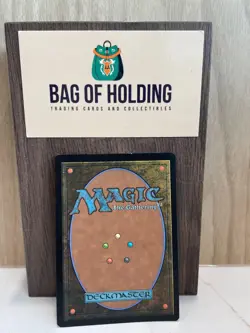 Zinnia, Valley's Voice - 0004 - Borderless - Foil - Bloomburrow - MTG- LP - Image 2