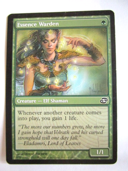MTG Essence Warden Planar Chaos Common Moderate Play!! - Image 1