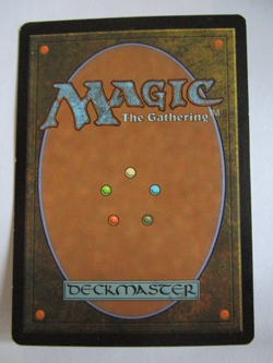 MTG Essence Warden Planar Chaos Common Moderate Play!! - Image 2