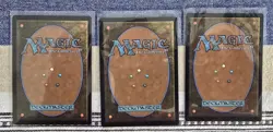 MTG Lorwyn Eclipsed Land Set Overgrown Tomb, Hallowed Foutain, & Temple Garden - Image 2