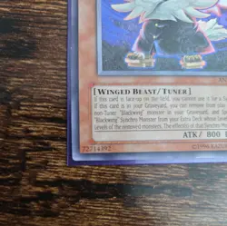 Blackwing - Vayu the Emblem of Honor ANPR-EN005 Ultimate Rare Yu-Gi-Oh VLP - Image 5