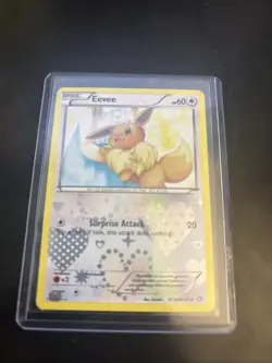 Pokemon TCG Eevee Reverse Holo RC14/RC25 Legendary Treasures Card 2013 - Image 2