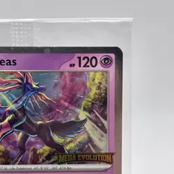 SEALED Xerneas 062 Pokemon Mega Evolution Stamped Best Buy Promo Holo NM - Image 3