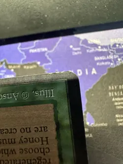 MTG - DROP OF HONEY - ARABIAN NIGHTS - Image 5