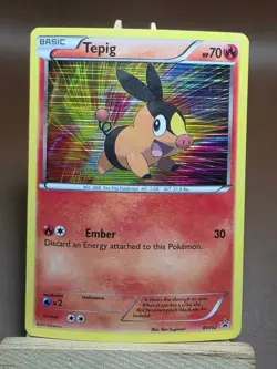 MP Pokemon 2011 - Black & White - Tepig BW02 - Holo Promo Black Star - Image 1
