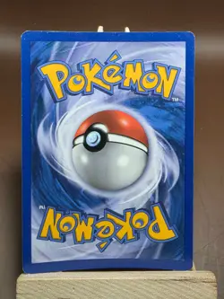MP Pokemon 2011 - Black & White - Tepig BW02 - Holo Promo Black Star - Image 2
