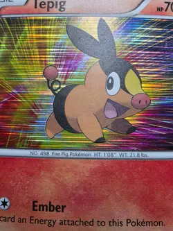 MP Pokemon 2011 - Black & White - Tepig BW02 - Holo Promo Black Star - Image 5