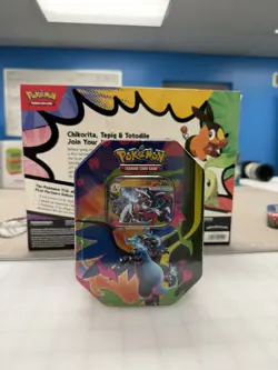 Pokemon Mega Charizard ex Tins SET OF 2 RELEASE DATE 2/20/2026 - Image 2