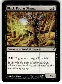 Black Poplar Shaman Lorwyn Regular MTG LP - Image 1