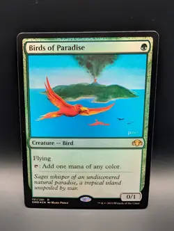 MTG - Birds of Paradise - FOIL - Creature Bird - DMR #151 - Rare - Image 1