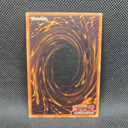 Yugioh Great White (SDY-011) 1st Edition (NM/LP) - Image 2