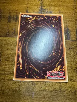 Amazoness Fighter GLD3-EN005 Limited Edition Common LP + BONUS - Image 2
