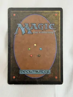 MTG Magic Beta Island Land Card Regular Mark Poole English - Image 2