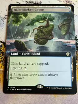 Rain-Slicked Copse (Extended Art) - 43 / English / Near Mint MTG - Image 1