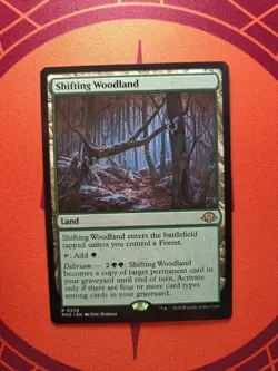 Shifting Woodland (NM) MTG Discount: 5+ Magic Singles - Image 1