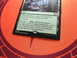 Shifting Woodland (NM) MTG Discount: 5+ Magic Singles - Image 2