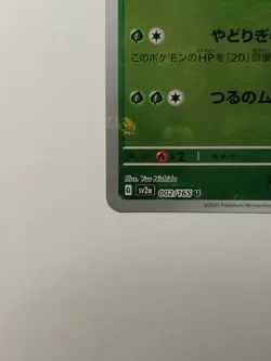 Japanese Sv2a Ivysaur Holo Masterball 002/165 Pokemon 151 NM UK Seller - Image 5