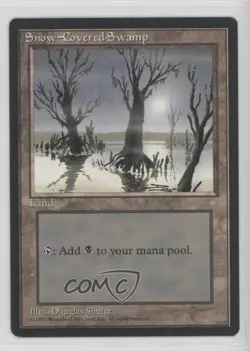 Snow-Covered Swamp Magic: Ice Age 1995 - Image 1