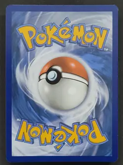 Trick or Trade Lot (Gengar, Mewtwo, Darkrai, Mimikyu) Pokemon TCG - Image 5