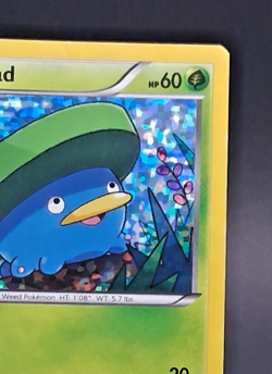 Lotad 2/12 McDonald's 2015 Promo - Confetti Holo - NM - Pokemon TCG XY - Image 2