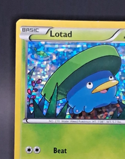 Lotad 2/12 McDonald's 2015 Promo - Confetti Holo - NM - Pokemon TCG XY - Image 4
