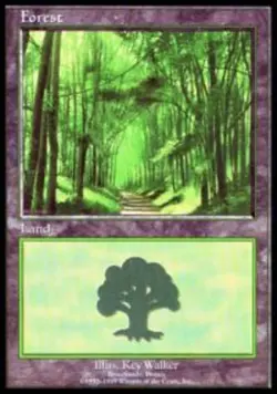 1x Forest - Euro Set 2 (Broceliande, France) Light Play MTG Magic - Kid Icarus - - Image 1