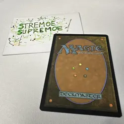 X1 non foil Beast Whisperer from TSR - Image 2