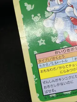 Machop 066 & Machoke 067 Top sun Green Back 1995 Topsun Pokemon Card Japanese - Image 4