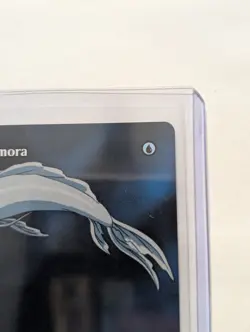 MTG Mystic Remora 0016 Regular Borderless Avatar The Last Airbender TLE Mythic - Image 4