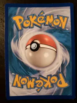 Squirtle 33/214 Holo Promo - Sun & Moon Unbroken Bonds - Pokemon TCG 2019 - Image 2