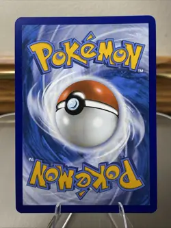 🔥 N's Zorua #189 Black Star Promo NM/M | Scarlet & Violet - 2025 Pokemon Card - Image 2