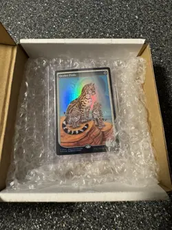 MTG Ocelot Pride - Textless Store Champion Promo Foil (see pics) - Image 5
