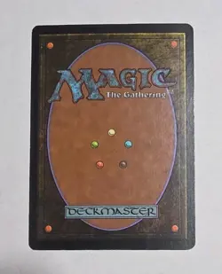 Wanderwine Prophets - Lorwyn (Magic The Gathering Card) Lightly Played - Image 3