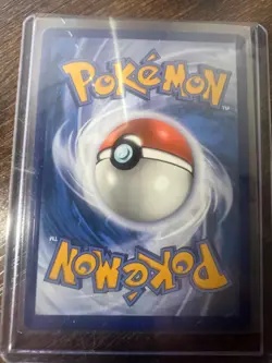 Noctowl NM SVP141 Scarlet & Violet Promo 141 Pokemon Holo Rare Collection NM - Image 2