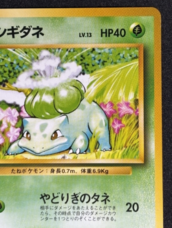 Bulbasaur Ivysaur No.001 002 Base Set Old Back 1996 Pokemon Card Japanese - Image 4