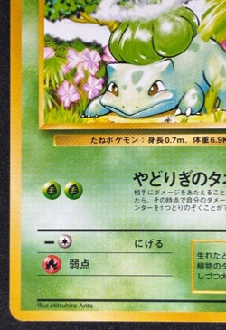 Bulbasaur Ivysaur No.001 002 Base Set Old Back 1996 Pokemon Card Japanese - Image 5