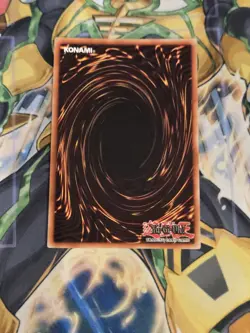 Droll & Lock Bird LCKC-EN077 Yu-Gi-Oh Legendary Collection Kaiba 2020 Reprint - Image 2